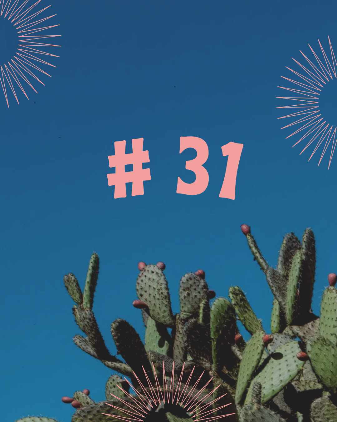 Blog #31: Kaktus oder Igel